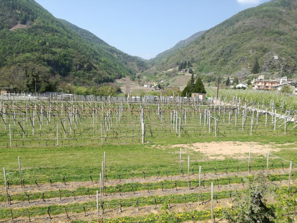 Agriturismo Le Cavade Cembra Lisignago Bagian luar foto